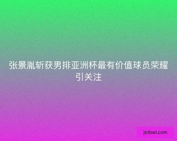 张景胤斩获男排亚洲杯最有价值球员荣耀引关注