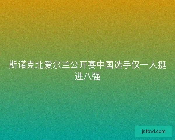 斯诺克北爱尔兰公开赛中国选手仅一人挺进八强